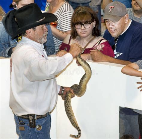 Sweetwater, Texas Rattlesnake Roundup. Editorial Photo - Image of diamondback, lonestar: 111880606