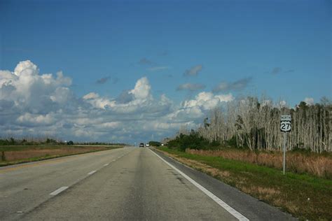 US 27 North - Near Pembroke Pines | Old and dried-out Melale… | Flickr