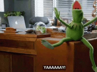 Stoked GIF - Kermit Kermitthefrog Yay - Discover & Share GIFs