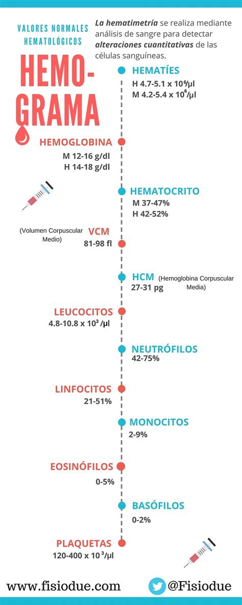 Hemograma. Infografía. Prueba importantísima para la detección precoz ...