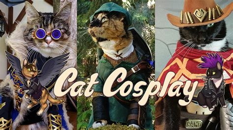 Cat Cosplay of the Feline variety. — 🎶 *Cranks up the Industrial Synthwave* 🎶