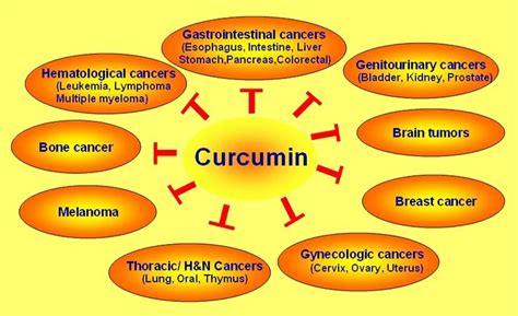 Curcumin : Benefits, Characteristics and Side Effects | Curcumin, Turmeric benefits, Curcumin cancer