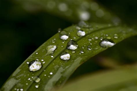 Water droplets macro - Whats in Focus