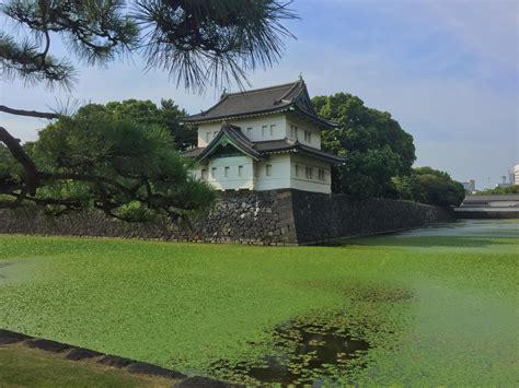 Shot of the Imperial Palace, Tokyo [OC] : r/japanpics