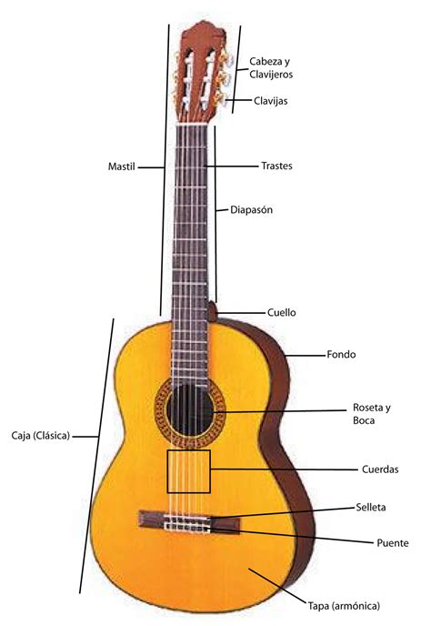 Guitarra para todos: Partes de la guitarra