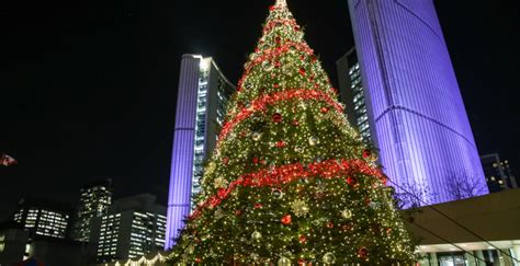 Toronto's Christmas tree arrives at Nathan Phillips Square this weekend ...