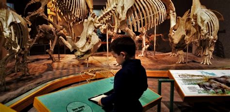 √ Denver Museum Of Nature And Science Dinosaurs - Alumn Photograph