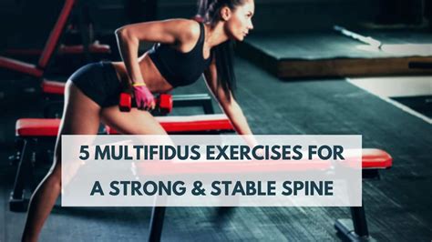 5 Multifidus Exercises for a Strong & Stable Lumbar Spine ...