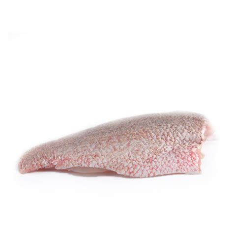 Frozen Red Snapper Fillet 100-300g – Maxzi The Good Food Shop