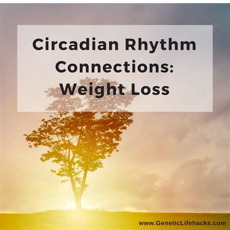 Circadian Rhythm Connections, Part 2: Weight Loss and Meal Timing – Genetic Lifehacks