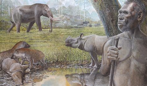 What killed off Southeast Asia’s giant hyenas and other megafauna? - Australian Geographic