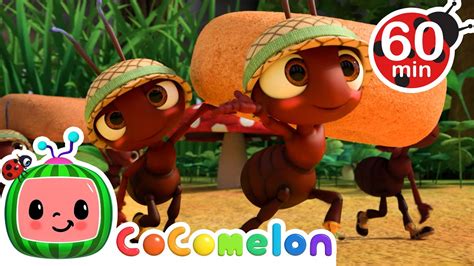 The Ants Go Marching | @CoComelon | Kids Songs | Nursery Rhymes | Sleep ...