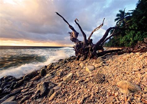 Image result for Pulu Keeling National Park | National parks, Cocos island, Park