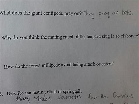 Solved What does the giant centipede prey on? Why do you | Chegg.com