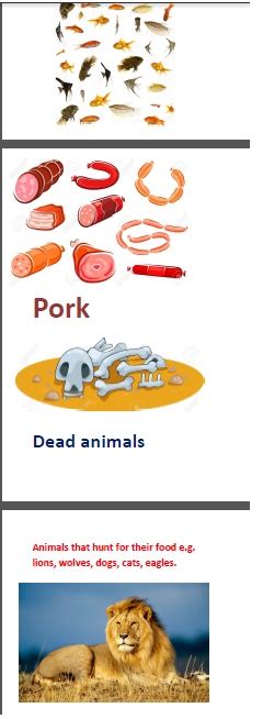 Halal & Haram Foods Visual Aid's - Safar Resources