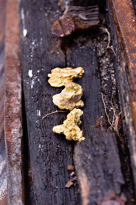 Three California Gold Nuggets in One Set - 2.83 grams [EK822, EK823 ...