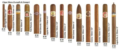 Understanding Cigar Shapes and Sizes - Windy City Cigars