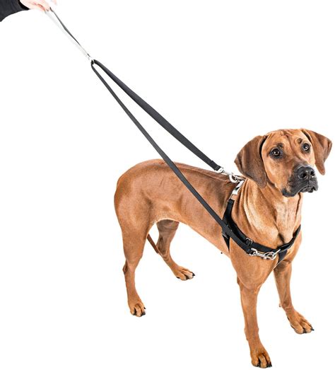 2 Hounds Design Freedom No Pull Dog Harness & Leash, Black, 1-in, XX-Large - Chewy.com