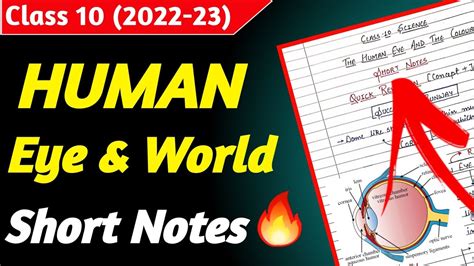 Human Eye and Colourful World Notes Class 10 Science | Class 10 Science ...