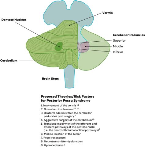 Posterior Fossa Syndrome Prognosis - mapasgmaes