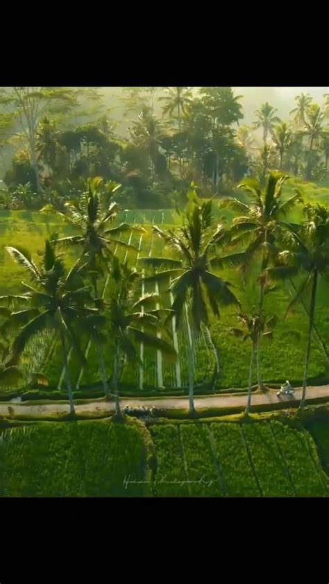 The Hideout Bali [Video] | Beautiful scenery nature, Beautiful nature ...