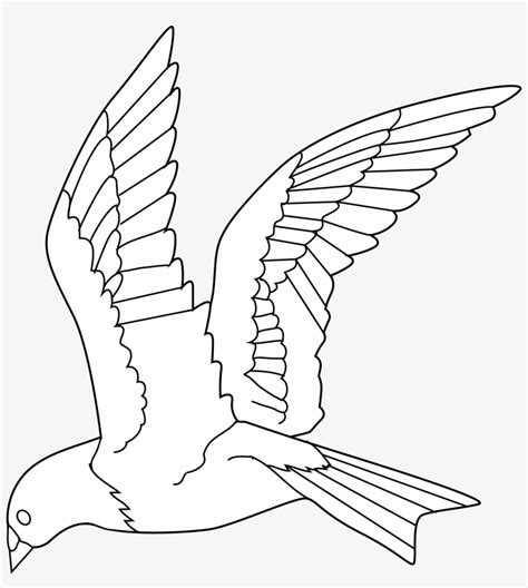 Flying Birds Clipart Gallery Bird Black And White - Flying Parrot Line Drawing - 515x550 PNG ...