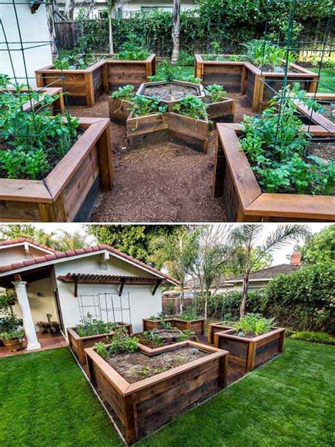 22 Ways for Growing a Successful Vegetable Garden - Amazing DIY ...