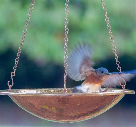 Hanging Bird Baths | Unique Glass and Ceramic Bird Baths - The ...