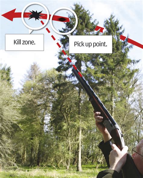 Clayshooting tips for beginners - Shooting UK