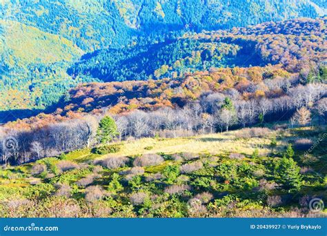 Autumn mountain forest stock image. Image of hill, slope - 20439927