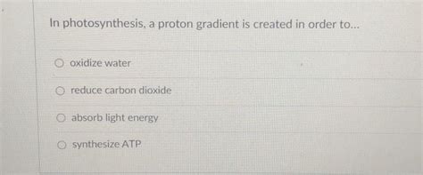 Solved In photosynthesis, a proton gradient is created in | Chegg.com