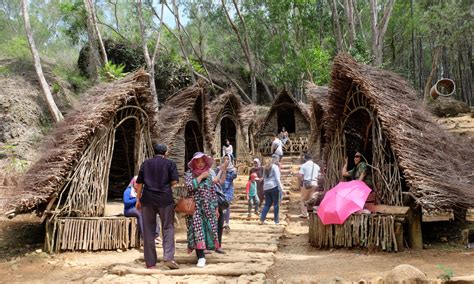 Hutan Pinus Imogiri di Yogyakarta