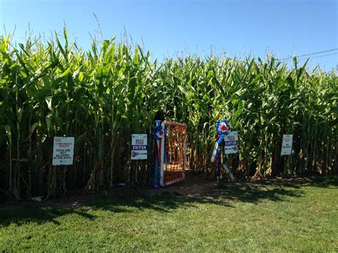 Corn Maze at Lyman Orchards in Middlefield, CT | CT Mommy Blog