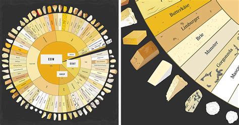 Our Cheese Wheel Chart Has 65 Delightful Cheeses From Around The World ...