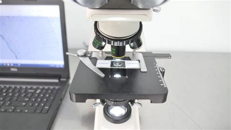 Fisher Scientific Microscope - Phase Contrast - The Lab World Group