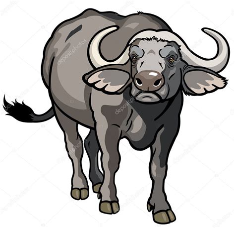 African cape buffalo — Stock Vector © insima #19901153