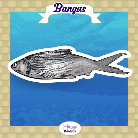 Hiraya: Pambansang Isda: Bangus