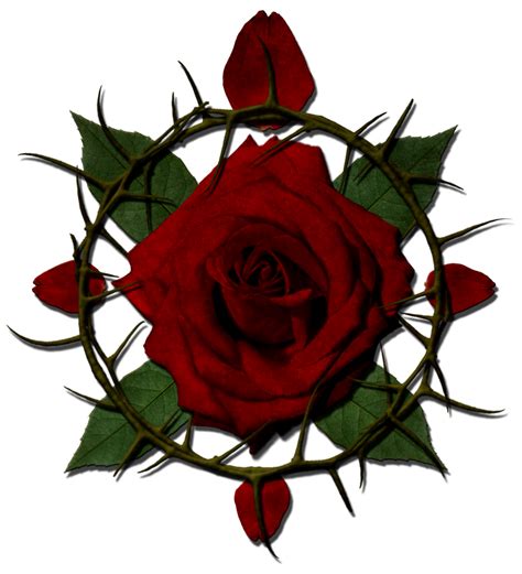 Rose and thorn clipart - ClipArt Best - ClipArt Best