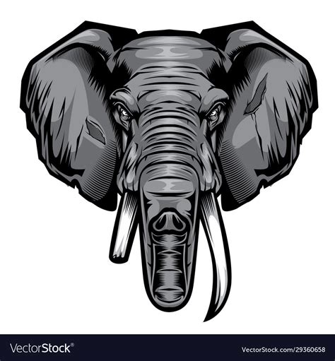 Head elephant drawing Royalty Free Vector Image