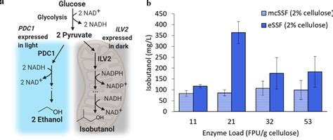 Cellulosic isobutanol production using an optogenetically controlled ...