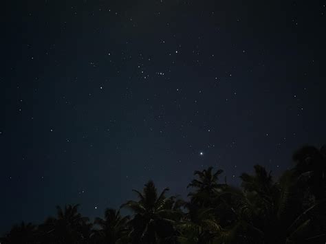 wallpaper palm tree, starry sky, night, stars, dark hd: widescreen: high definition: fullscreen