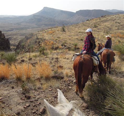 Horseback Riding - Visit Big Bend - Guides for the Big Bend Region of Texas