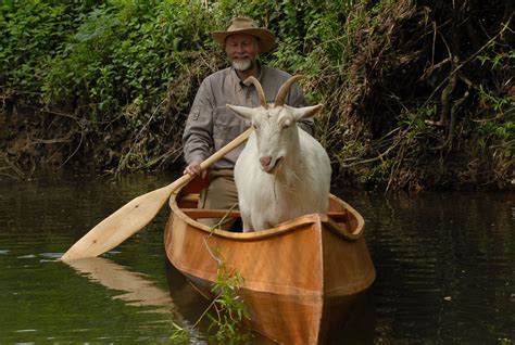 Our goat enjoying a canoe trip in one of our canoes at Birchcanoes.com ...