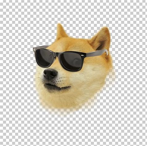 Shiba Inu Dogecoin Kabosu PNG, Clipart, Carnivoran, Comic Sans ...