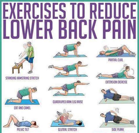 Lower Back Exercises: Ease Your Lower Back Pain