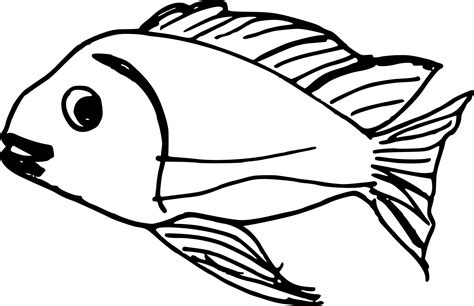 10 Fish Drawing (PNG Transparent) | OnlyGFX.com