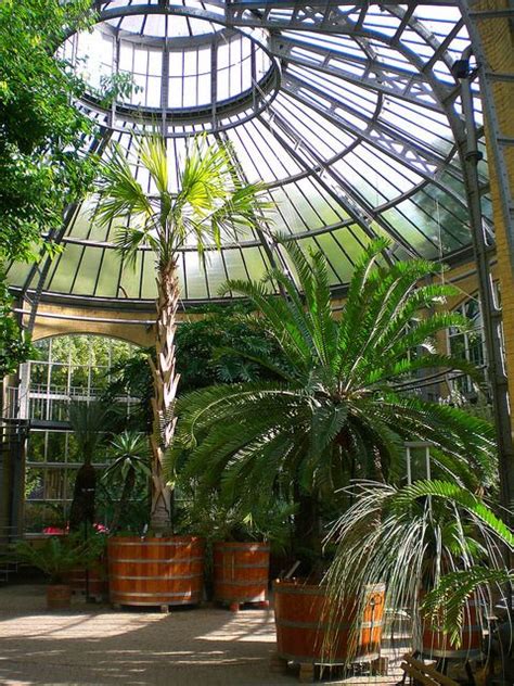 Hortus botanicus amsterdam | Botanischer garten, Gewächshaus, Plantage