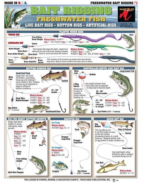 Bait Rigging and Knot Tying techniques for Inshore Freshwater Bass, Catfish and Crappie ...