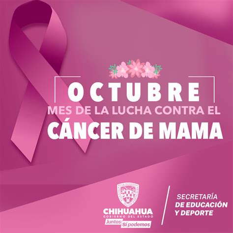 Octubre. Mes de la lucha contra el cancer de mama. | Unidad de Género ...