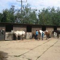 Tumpy Green Equestrian Centre, Dursley | Riding Schools - Yell